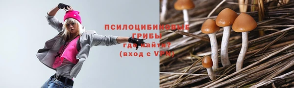 марки lsd Липки