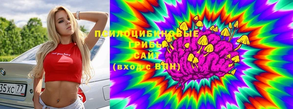 Альфа ПВП Лиски