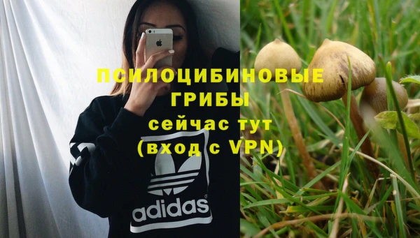 Альфа ПВП Лиски