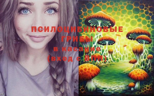 Альфа ПВП Лиски