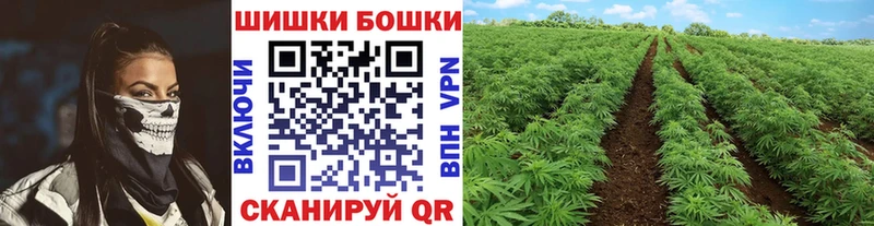 Купить где  Волчанск  Конопля OG Kush 